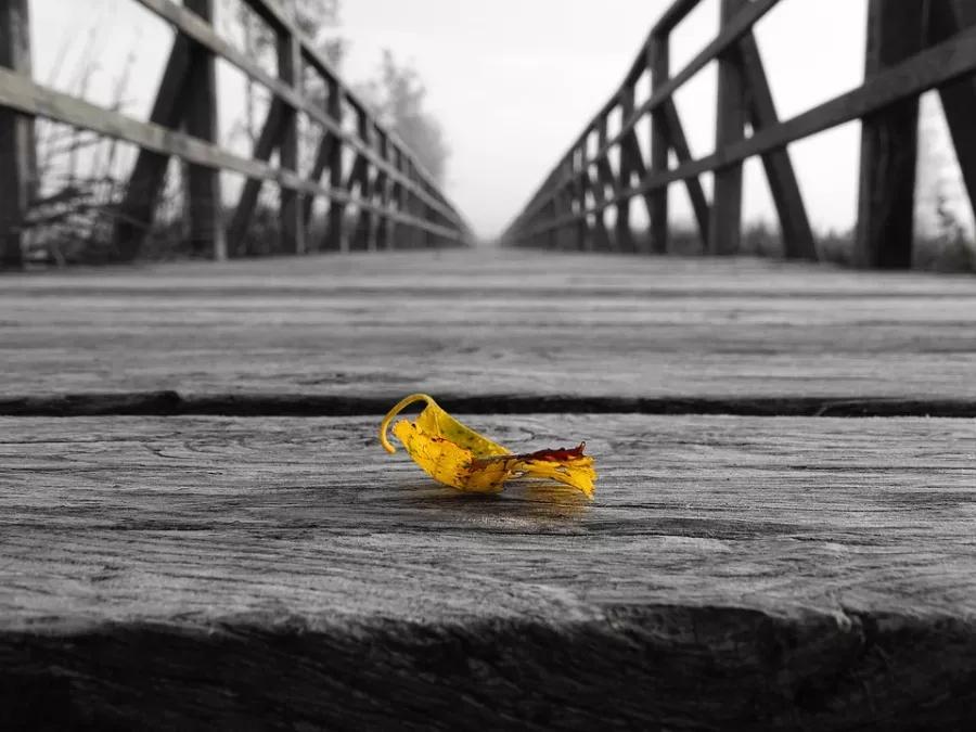 尘归尘土归土一切皆虚无,尘归尘土归土一切皆虚无意思