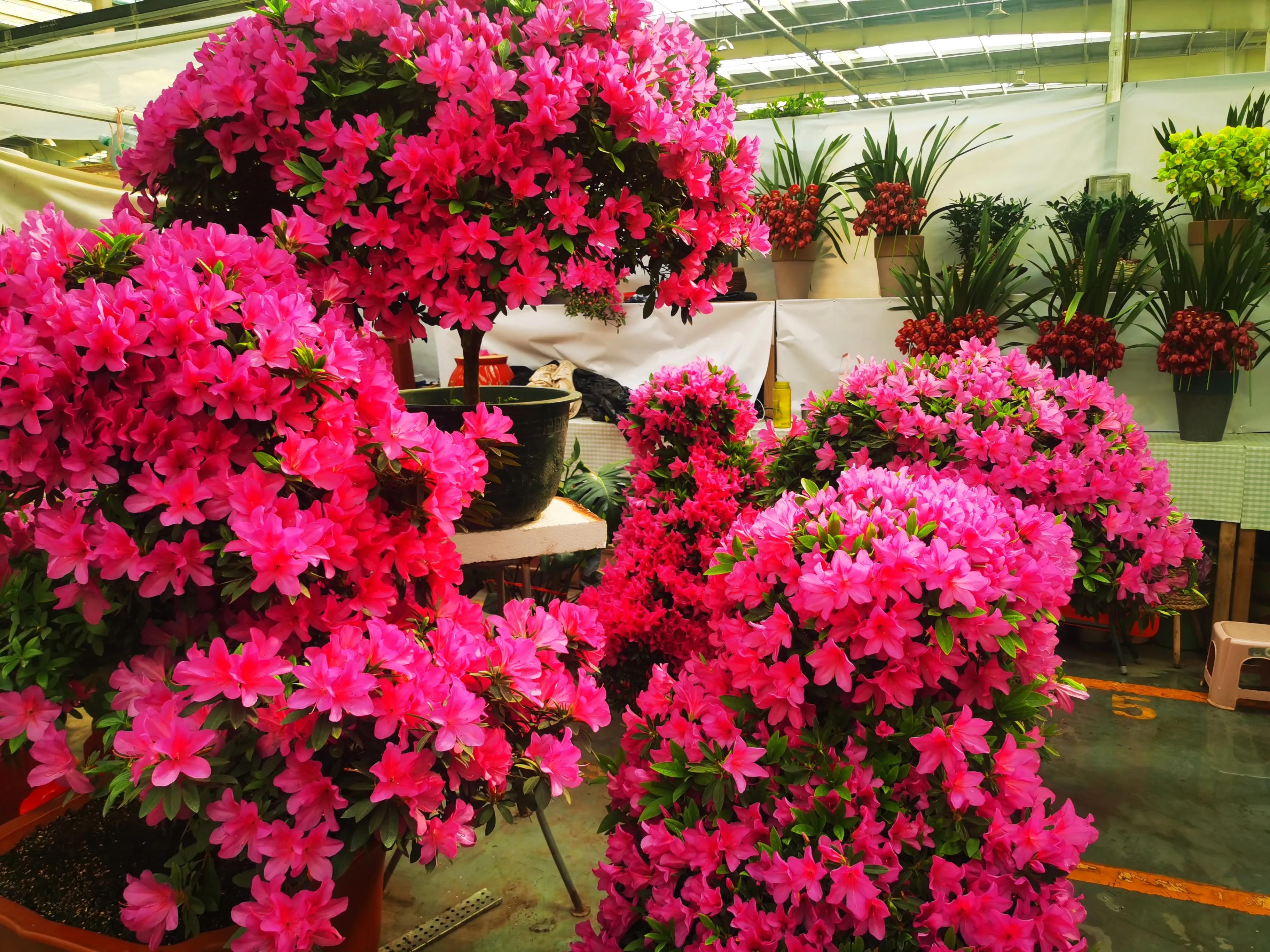 购物中心打卡点,有趣的购物中心通道打卡点