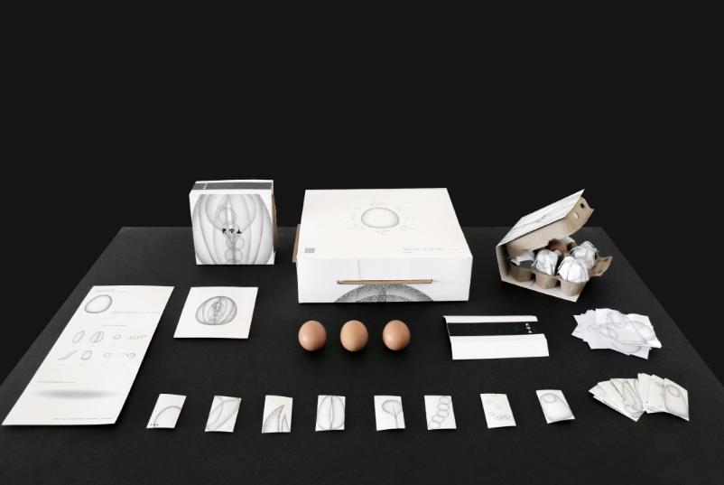 创意鸡蛋礼品盒包装设计,100个经典鸡蛋包装设计