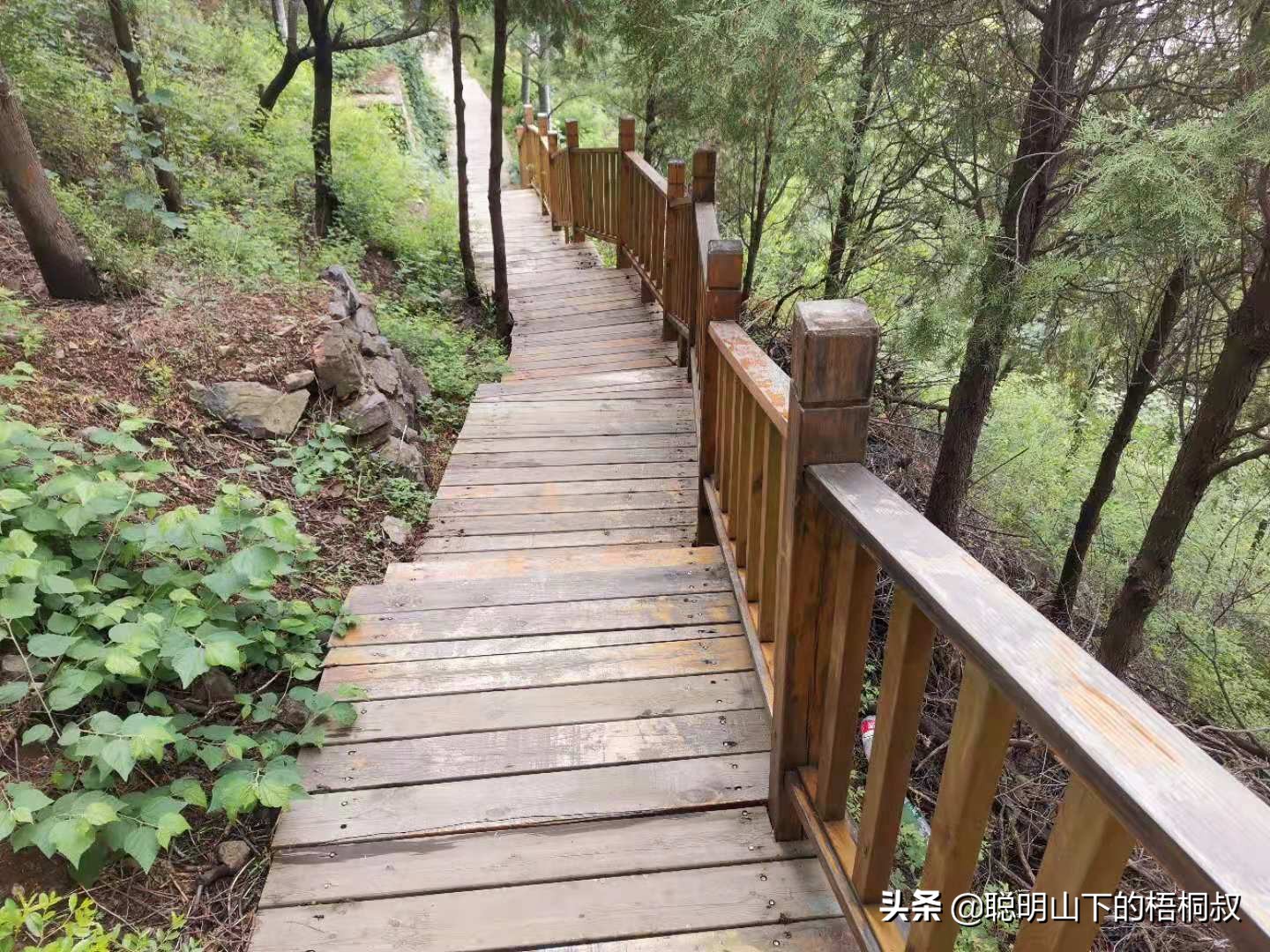 蟒山国家森林公园自由行攻略,北京蟒山森林公园游玩攻略