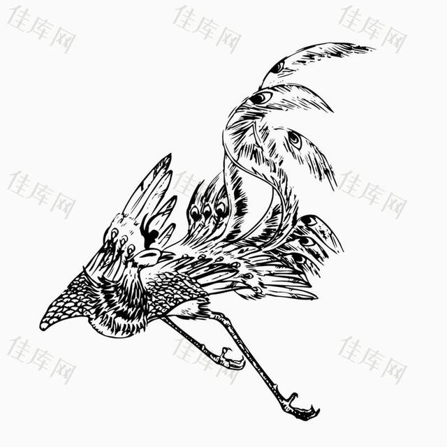 怎样画一个凤凰,怎么画个凤凰