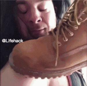 踢不烂大黄蜂2,踢不烂的大黄蜂