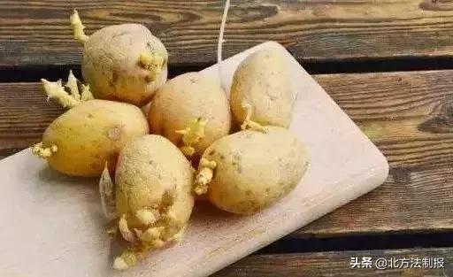 比毒蛇还毒100倍的食物,比毒蛇还毒的它千万别吃