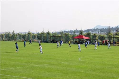 东山片区最新评测,上半年各楼盘业绩排名