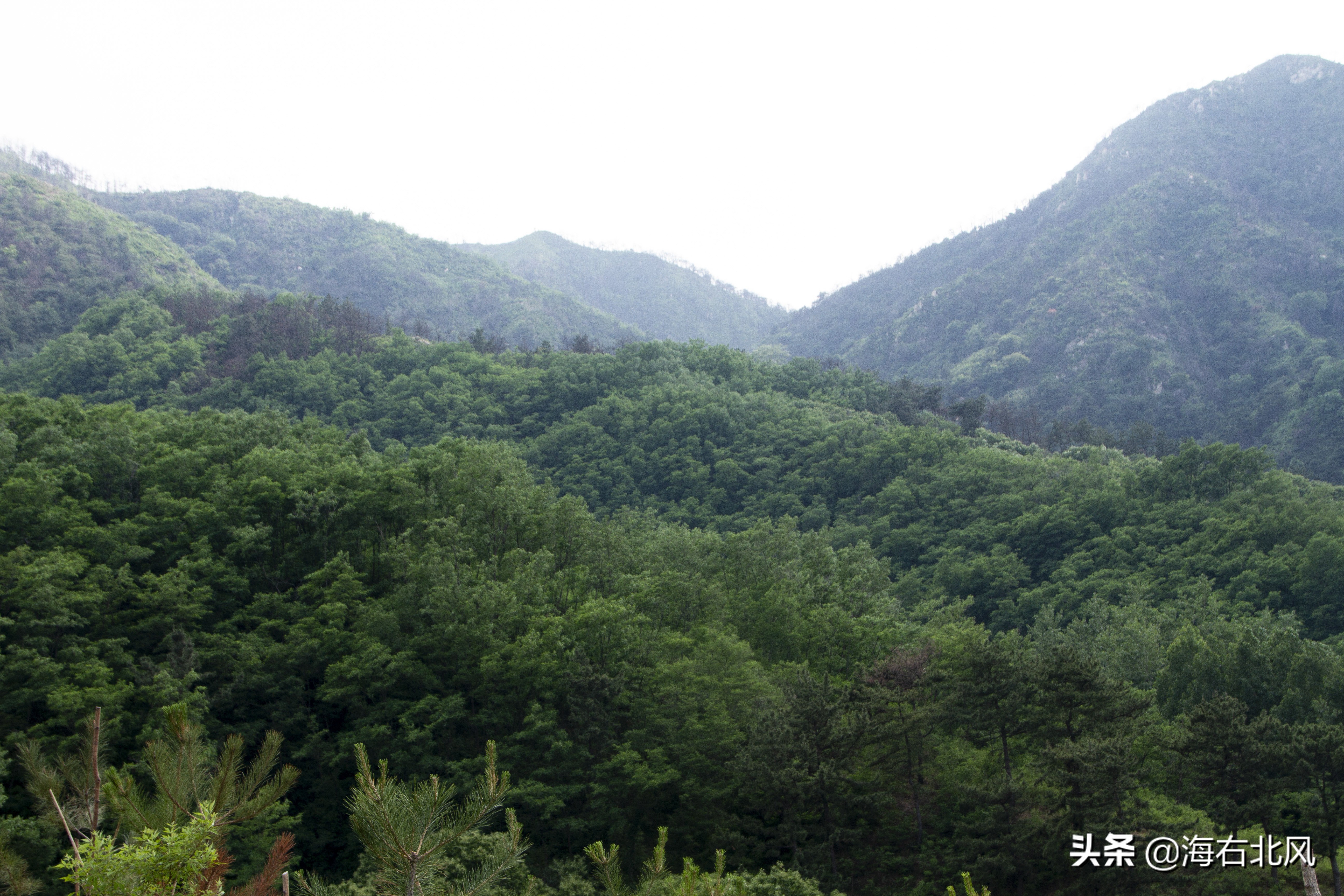 藕池镇有玩游戏的吗,藕塘周边一日游推荐