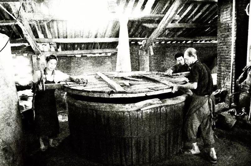 蜀人原乡完整版,三贤故里长寿之乡资阳