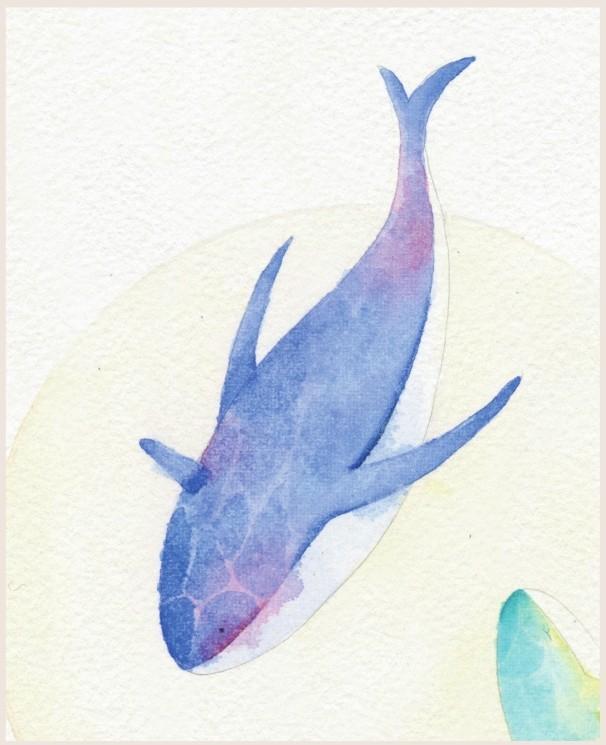 小清新水彩画大海里的精灵--鱼绘制教程