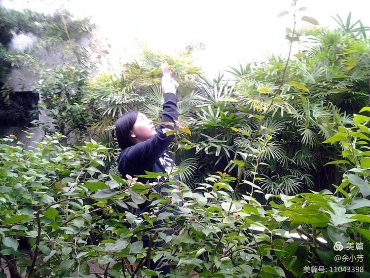 上海豫园介绍,走进上海完整版