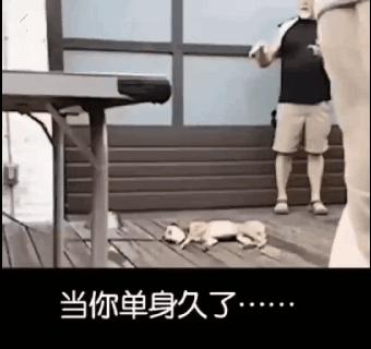 女朋友追命三问之后,多少男人哑口无言