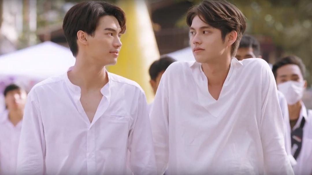 陷“辱华风波”、CP粉大撤退，《假偶天成》“塌方”启示录