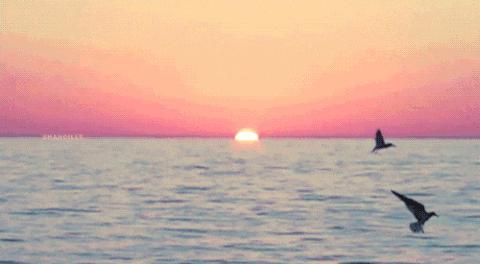 哪个国家单身需要交税,国外哪些国家单身要交税