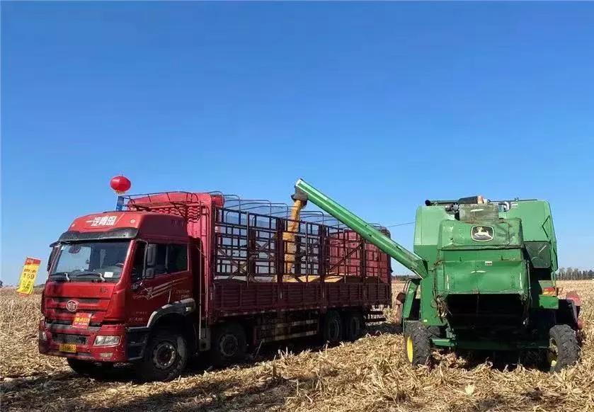 “内蒙古粮仓”通辽市：粮食增产又增收