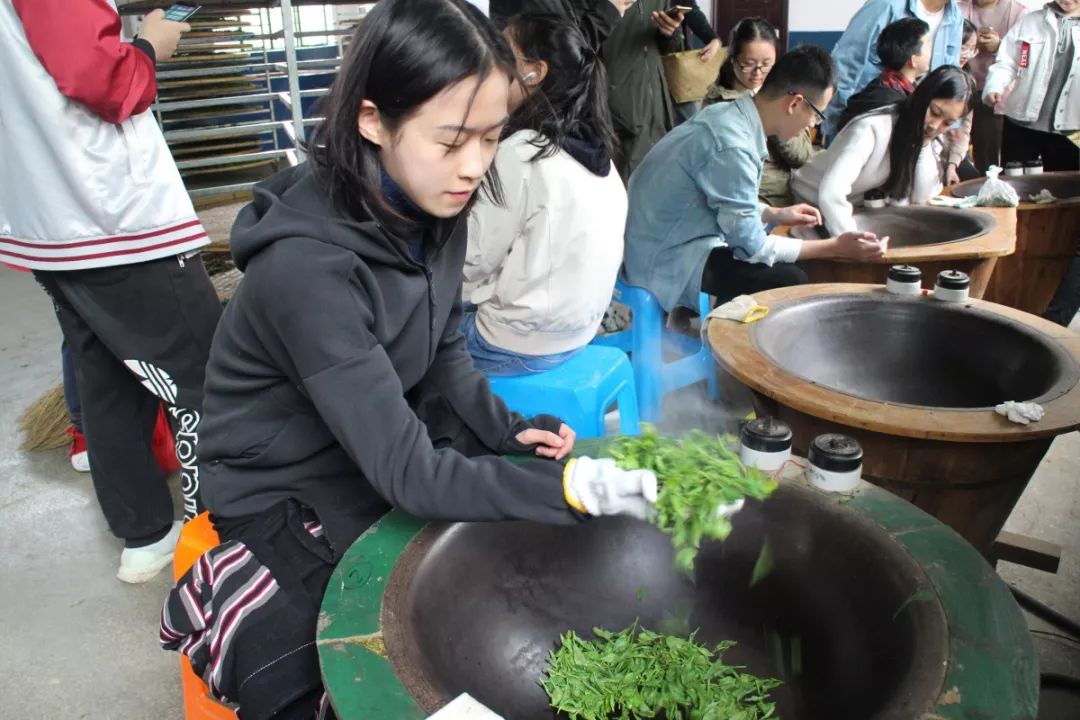 茶艺形象大使,茶艺代言人