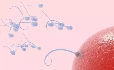 小蝌蚪历险记作文,小蝌蚪历险记300字