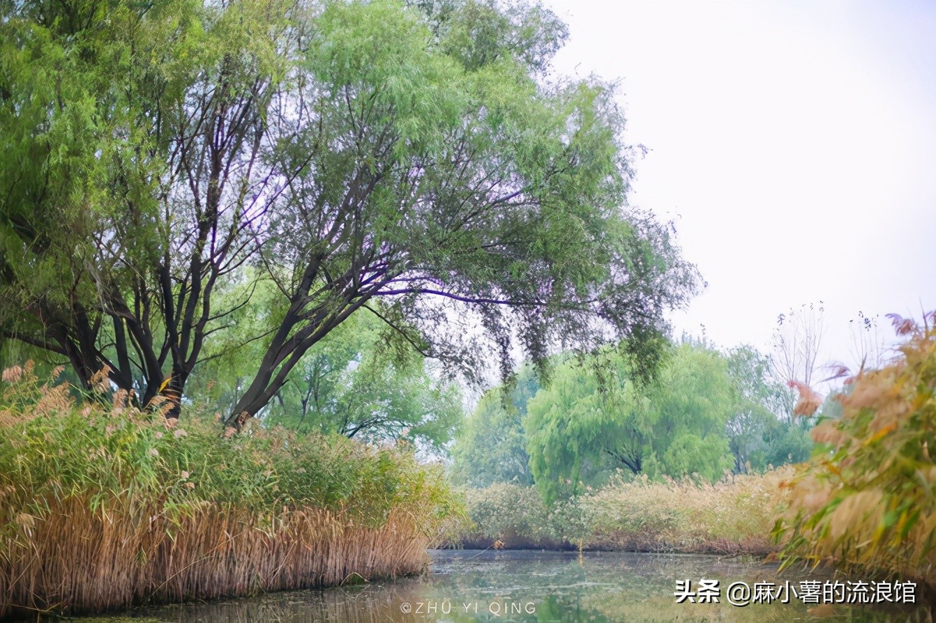 盐城著名湖,盐城第一湖