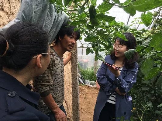 种植创业项目的愿景,种植行业创新创业