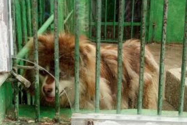 西藏拉萨旅游景点罗布林卡,颐和园什刹海旅游攻略