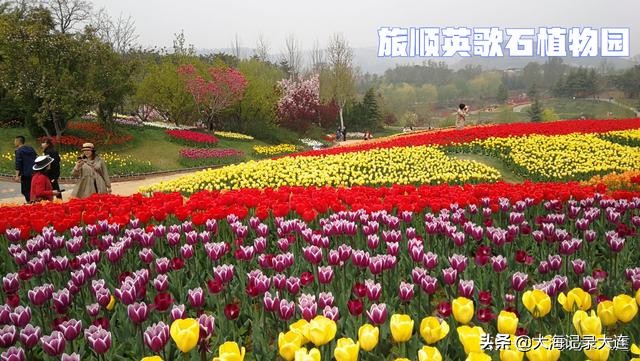 大连旅顺深度游,大连旅顺旅游必去景点排名