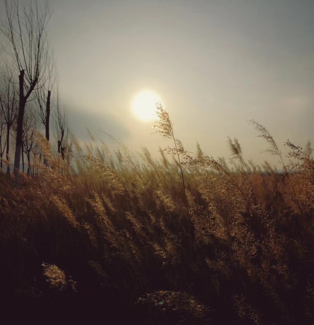 遥远的走西口：再无故人来与去，已把他乡变家乡