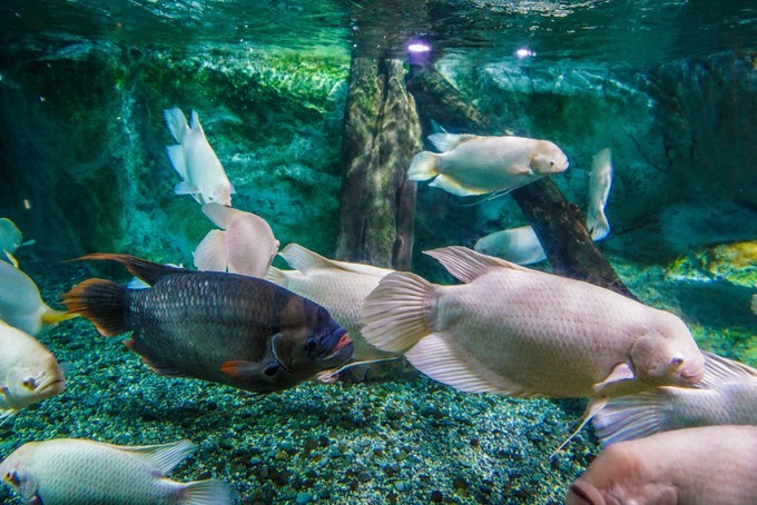 去韩国必买清单,韩国购物攻略衣服