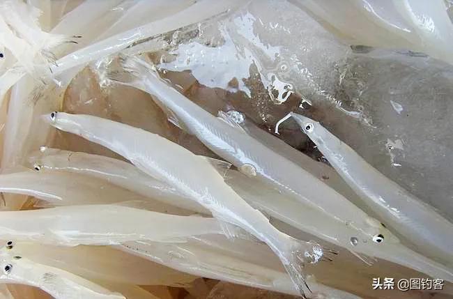 公认最好吃的10种淡水鱼,公认好吃淡水鱼有哪些种类