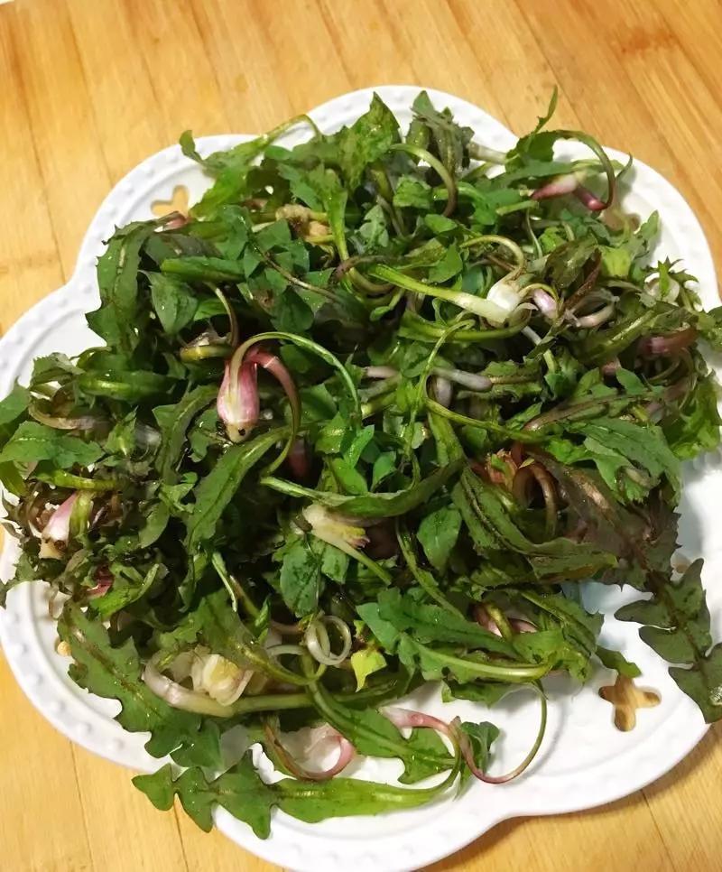 武山县油菜花旅游打卡地,天水武山滩歌油菜花海掠影