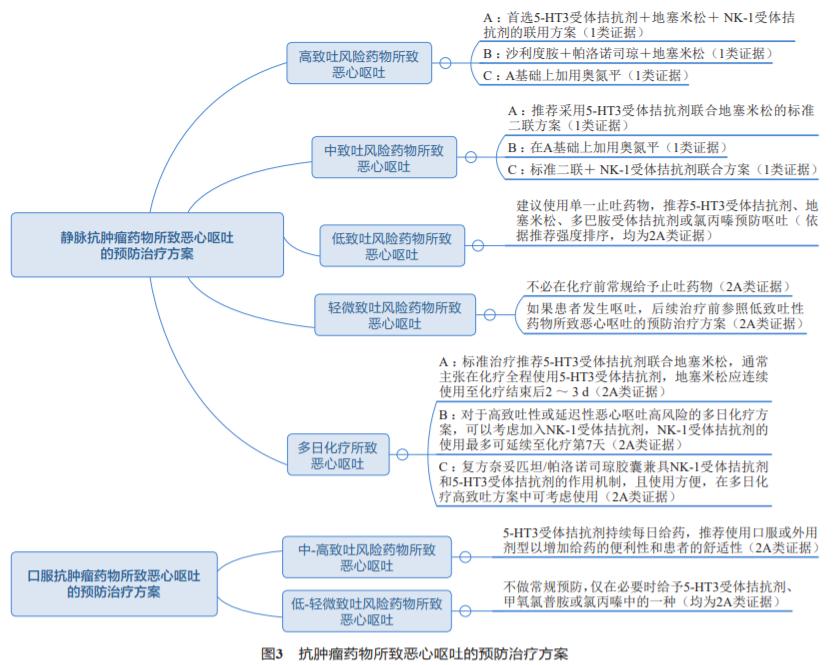 化疗如果恶心和呕吐怎么办,化疗引起的恶心呕吐怎么避免