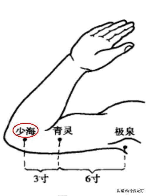 人体带海的穴位有几个,有关海的穴位