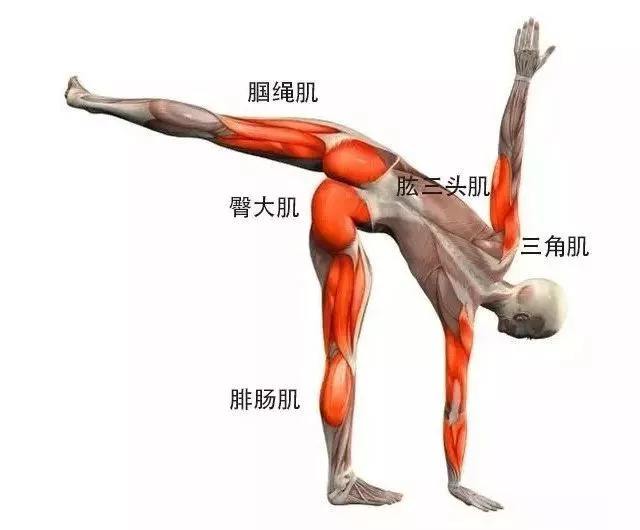 乳房下垂养护,年轻乳房下垂是什么原因造成的