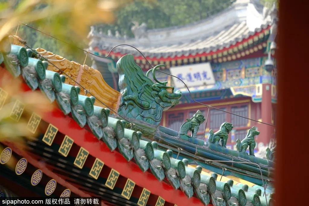 北京春季哪个公园值得去,北京十大免费公园哪些好玩