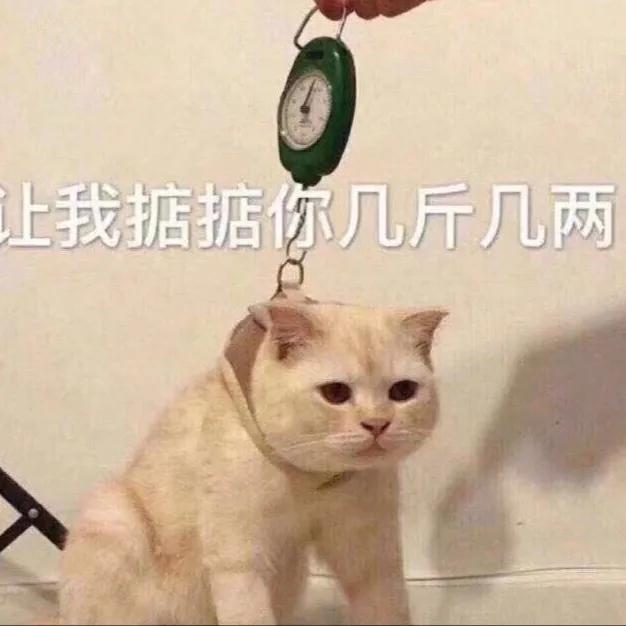 王者荣耀哪两个英雄搭配特殊玩法,王者荣耀明世隐攻略玩法大全