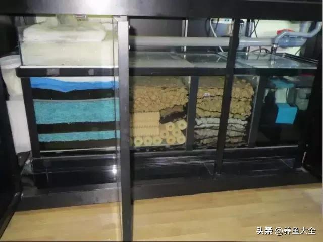 杩囨护绁炲櫒濂界墿鎺ㄨ崘,楸肩几杩囨护骞茶揣璁茶В