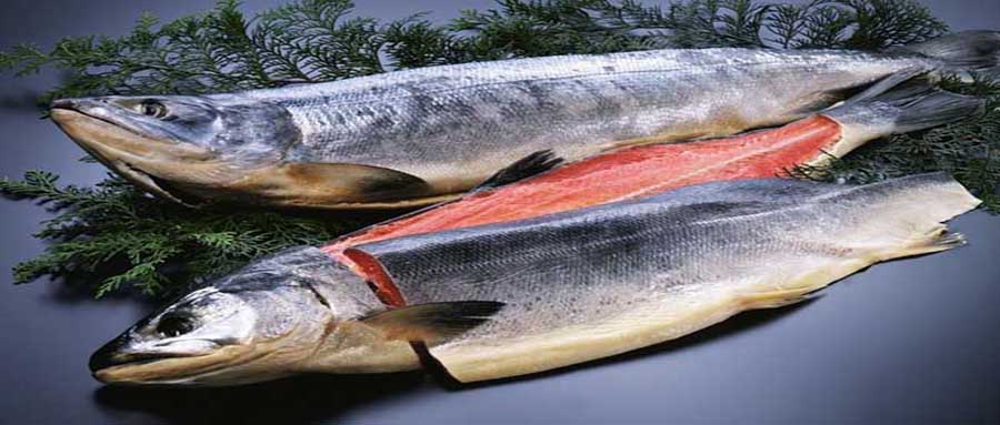 最适合孩子吃的鱼无刺又鲜嫩可口,最适合儿童吃的鱼有哪些