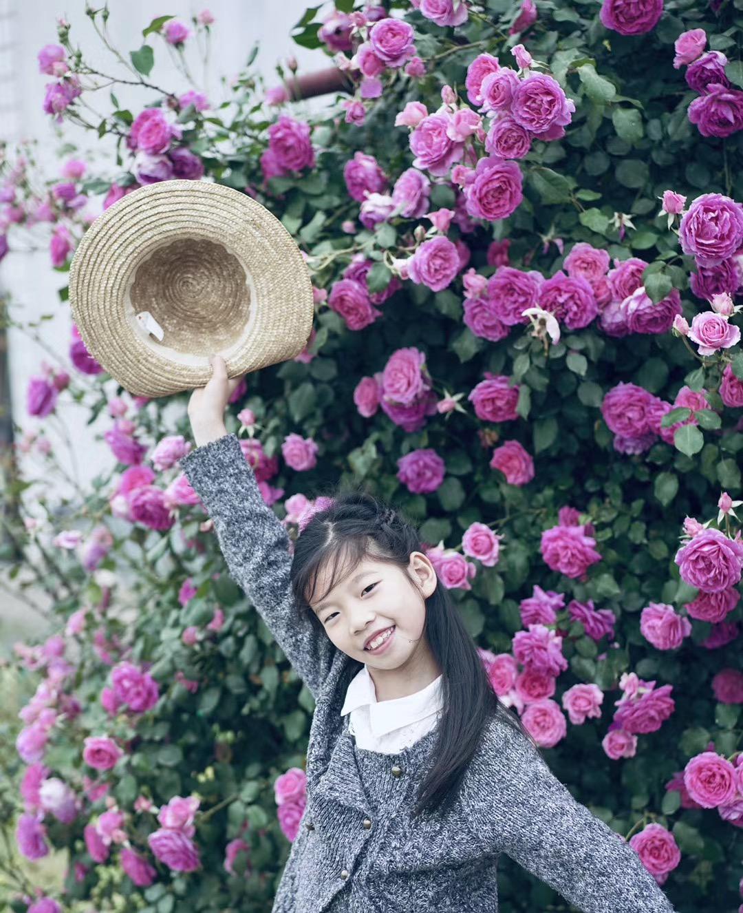 江阴人少景美,江阴有哪些人文景观