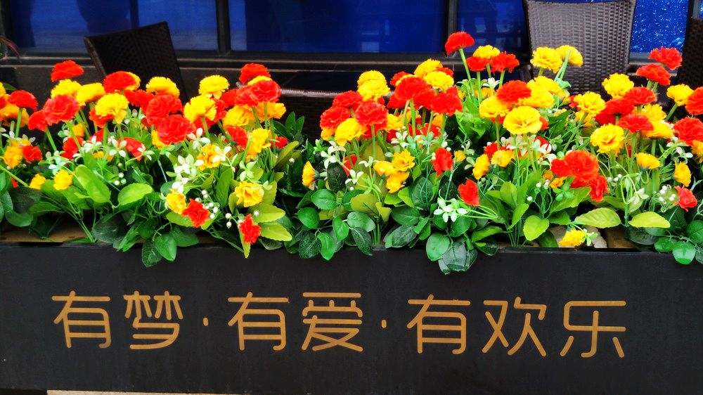 与爱同行发现之旅携南宁儿童康复中心“星星”快乐游