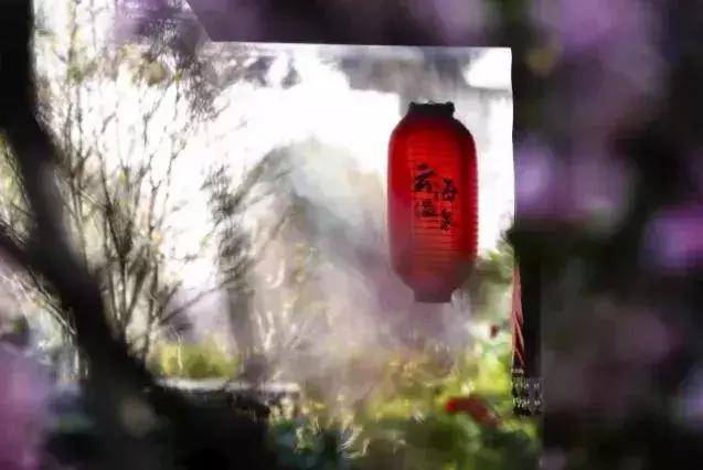 泰州溱湖一座人文湖景别墅，享受1800米湿地深处云海温泉丨欢墅