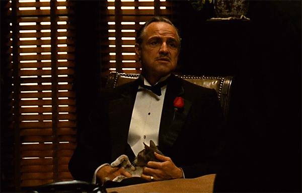 imdb评分最高的爱情片,imdb评分排行最高的电视剧