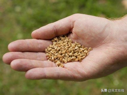 2020年难忘的流星雨,2020不能错过流星雨