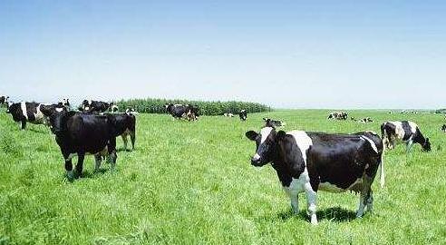 如何选择合适的婴幼儿奶粉,三段奶粉几个月开始换合适