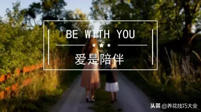 常见小区绿化100种植物图片,常见的水生植物有哪些种