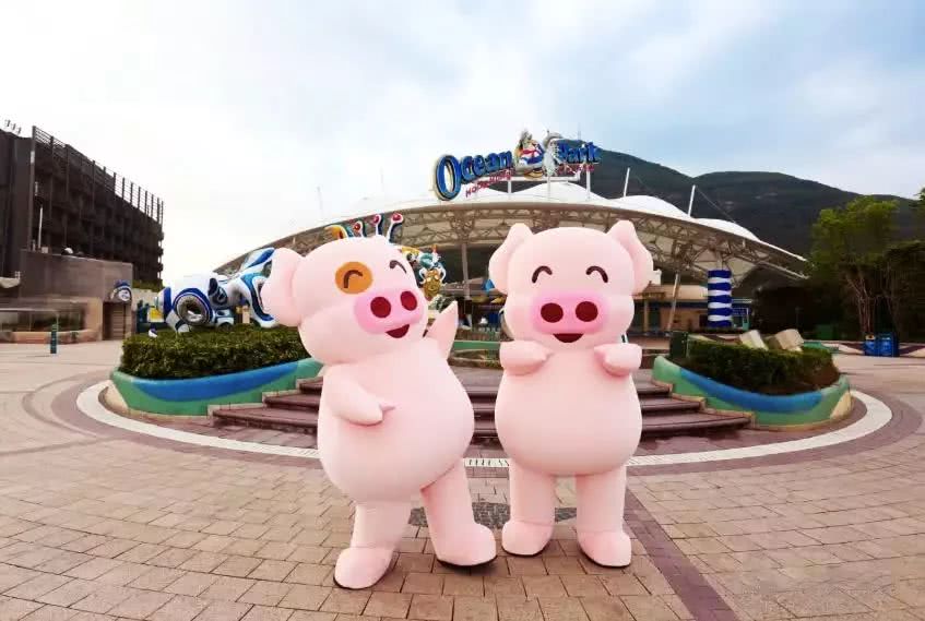 香港圣诞打卡地,圣诞节香港必打卡的地方