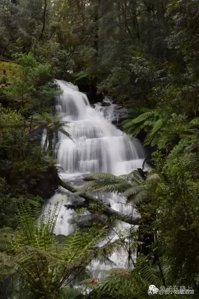 去澳洲旅游必备路线,去澳洲10天的自驾游的攻略如何做