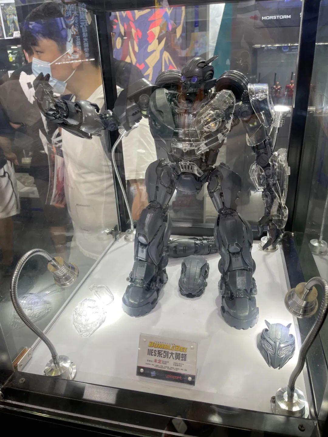 wf展回顾,下届wf展