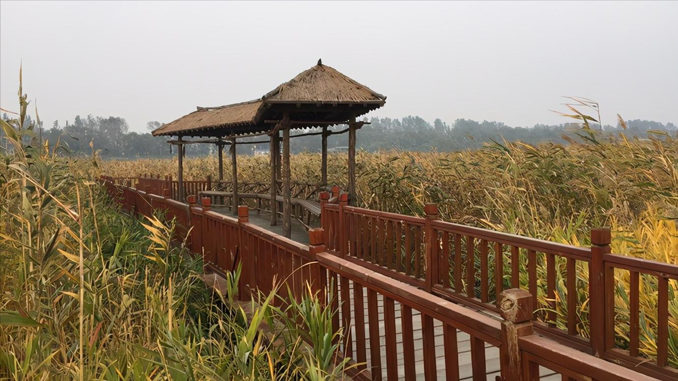 辽宁省盘锦市所辖区有哪些,辽宁省盘锦市有哪几个区