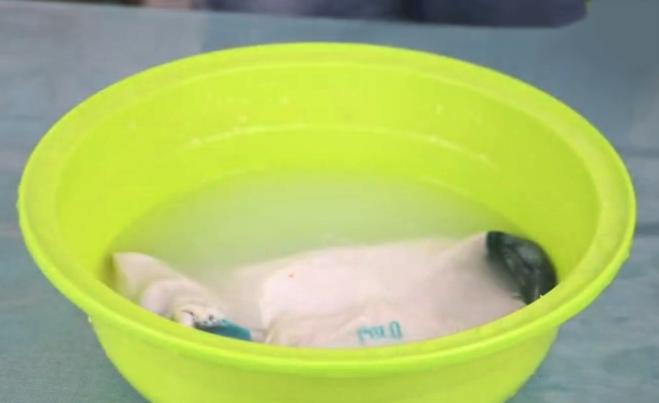 白袜子变黄怎么去除,白袜子发黄洗不净怎么办