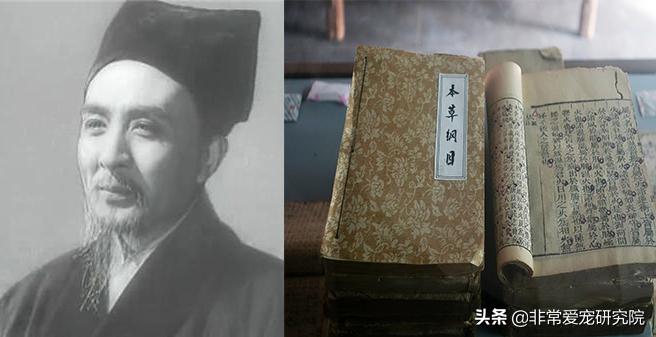 老人总说吃*肉猫**会招报应？*肉猫**为什么没人吃？古人李时珍早已试过