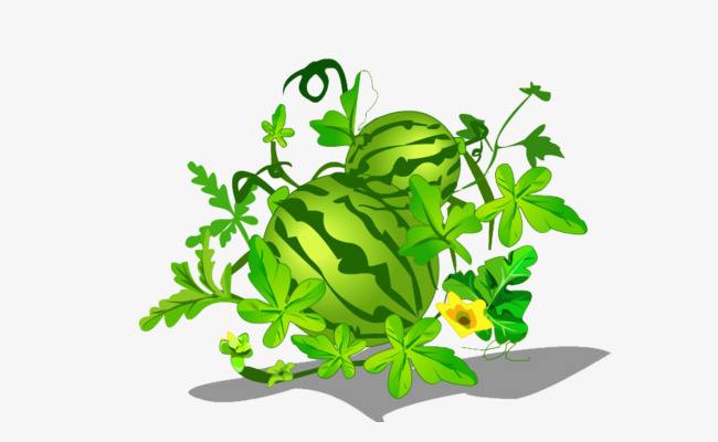 简单又有想象力的作文,一个有趣的小制作作文400字