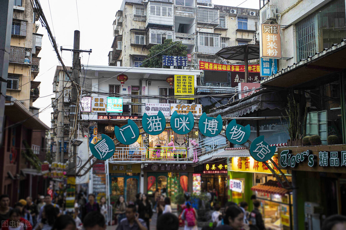 厦门顶级猫街介绍,厦门猫街值得去吗