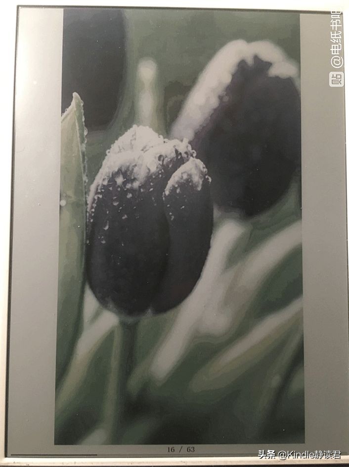 彩色水墨屏电纸书,彩色电纸书分辨率