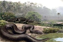 海洋巨蟒之谜视频,海洋巨蟒大战巨鳄